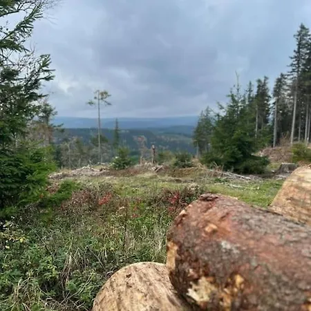 Ferienwohnung Elgersburg Casa de Férias